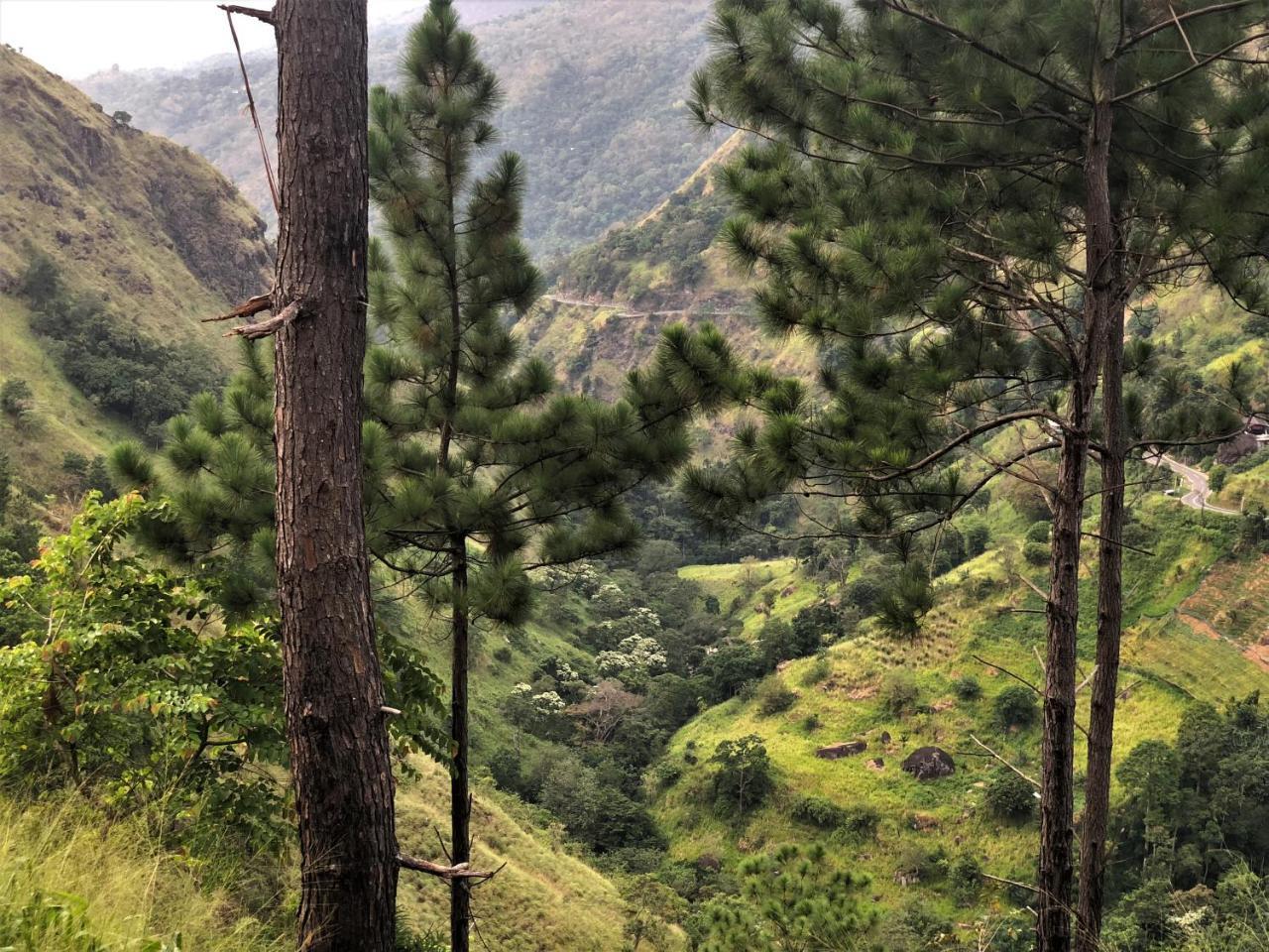 The Ella Valley Exterior photo